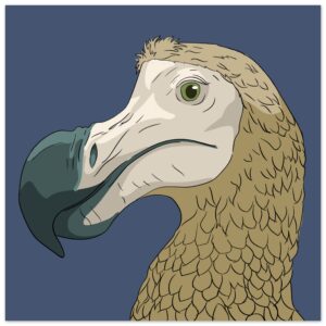 ce8800e5-0ee0-41df-a361-1b32a39d7ae5